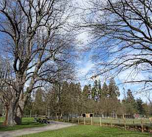 Rosensteinpark Übergang zu Schlossgarten