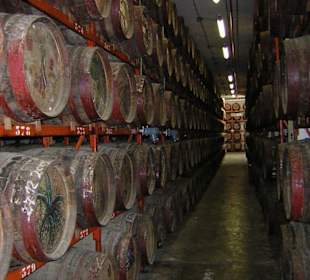 Fässer mit Autogrammen von Berühmtheiten