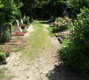 Friedhof Handschuhsheim