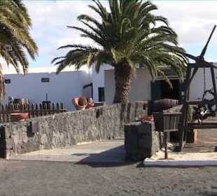 Bodega + Museum El Grifo