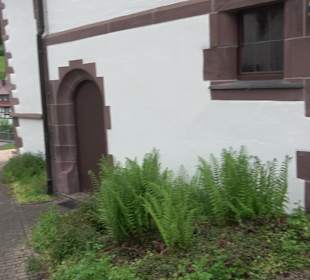Marien- und Georgskirche Neuneck