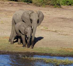Chobe Nationalpark