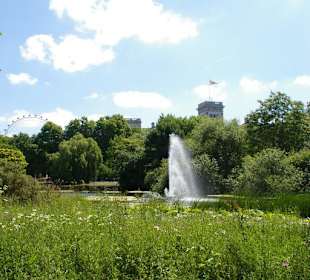 St. James Park