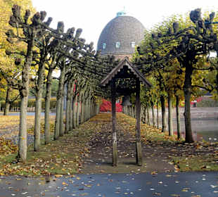 Alleen auf dem Osterholzer Friedhof