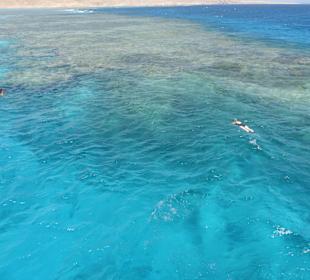 Bootstour mit schnorcheln, sollte jeder machen ! 