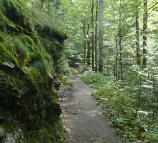 Wasserfall-Tour: Weg Richtung Bodenmais / Klause