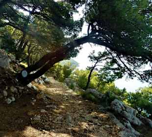 Weg zum FKK Strand Nugal