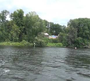 Fähre zur Pfaueninsel