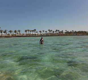 Links von der Marina