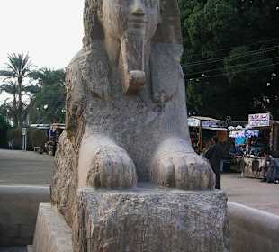 Sphinx