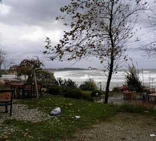 Herrlicher Blick aus der Altstadt