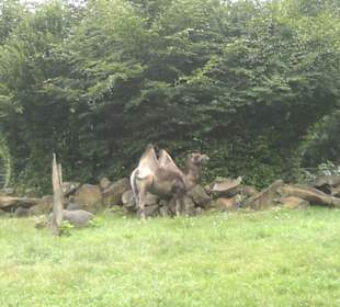 Zoo Olomouc