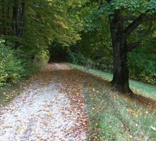 Wanderung Felsen Sankt Johann