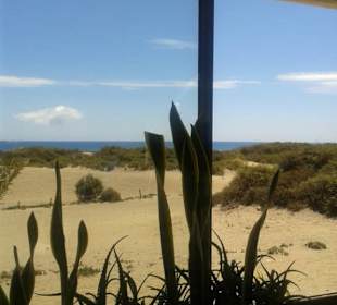 Nebenan die Dünen...