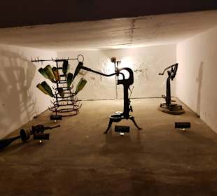 Weinmuseum und Kakteen-Ausstellung El Grifo