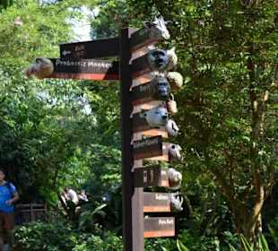 Singapur Zoo