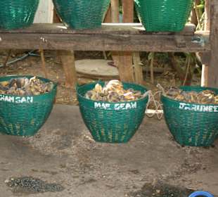 Jeder Elefant hat einen eigenen Futterkorb