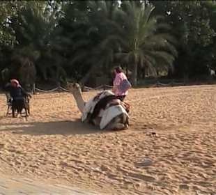 Dubai Heritage Village 