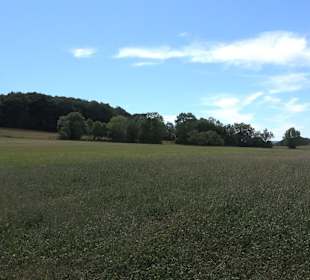 Wandertour Stahleck Greifenstein