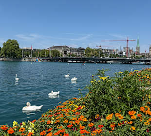 Zürich