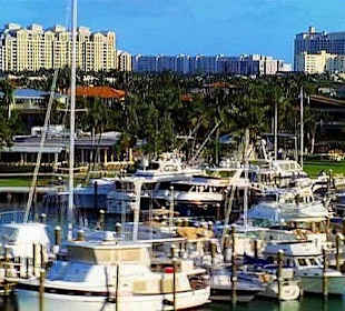 Rundflug über Miami