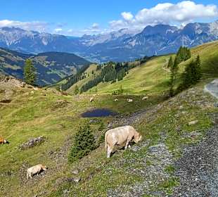 Sport & Freizeit