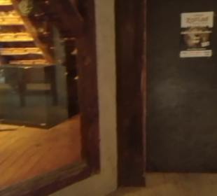 Eurasienbereich - Hausmaus