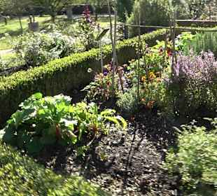 Klostergarten - Garten der Pilger Oberelchingen