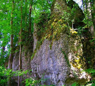 Wanderung zum Bärenfels