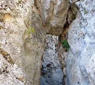 Ścieżka do świątyni