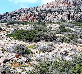 Nationalpark Kap Greco