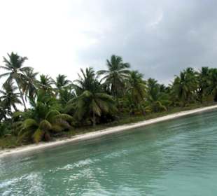 Saona