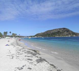 Cockle Shell Beach Banana Beach