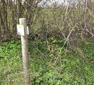 Vulkankrater-Rundweg Apfelstetten