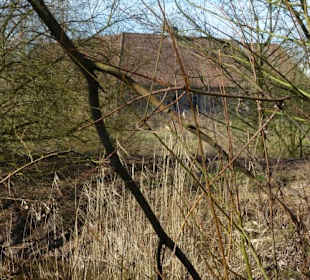 Abwechslungsreicher Weg