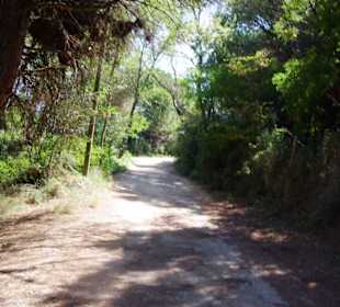 Barfuß auf keinen Fall 