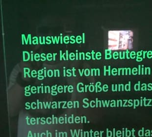 Jagdtier + Vogelkunde