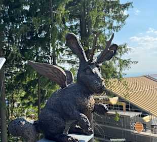 Waldwipfelweg St Englmar