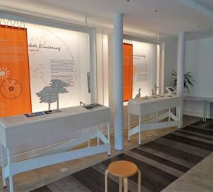 Ausstellungsbereich im Nationalpark-Haus 