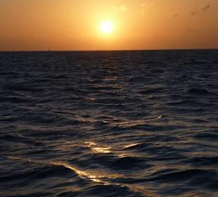 Sonnenaufgang auf der Zweitagestour, am Riff