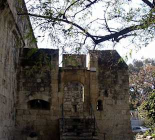 Kastell von Limassol