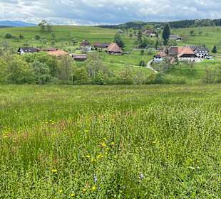 Wandern Elzach