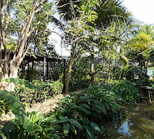 Orchideenfarm