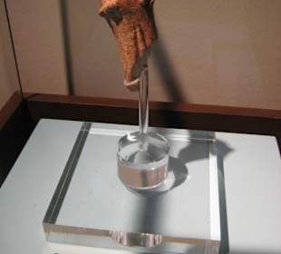 Rheinisches Landesmuseum