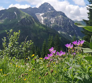 Wandern Mittelberg (Vorarlberg)