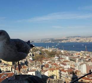 Blick vom Galataturm