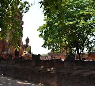 Ayutthaya Ausflug