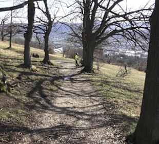 Wanderweg zur Achalm