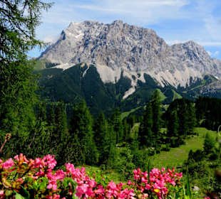 Auf dem Weg zum Seebensee: Blick auf Zugspitz