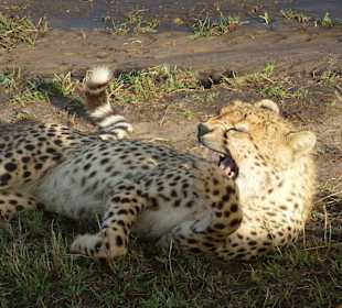 Ich hab doch noch nicht ausgeschlafen